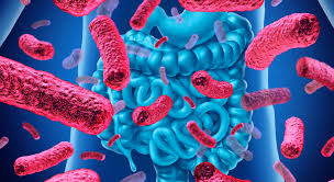 Featured image for “How Probiotics Help Treat Gum Disease”